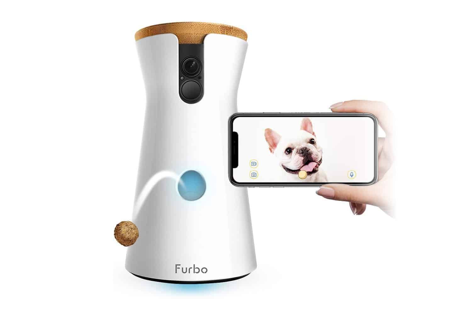 Furbo Dog Camera Treat Dispenser Review Chew Test