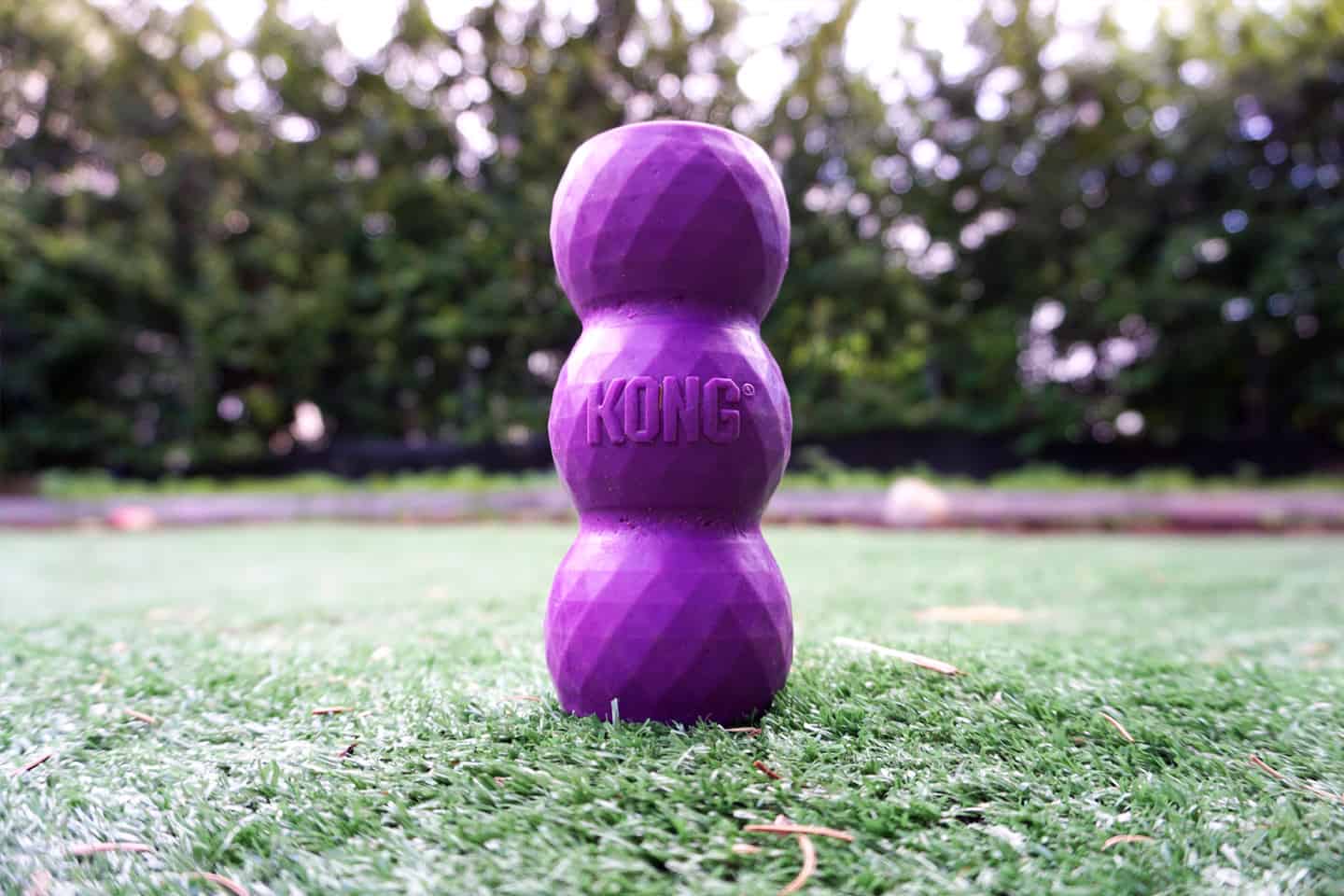 Kong Wobbler Review - Chew Test