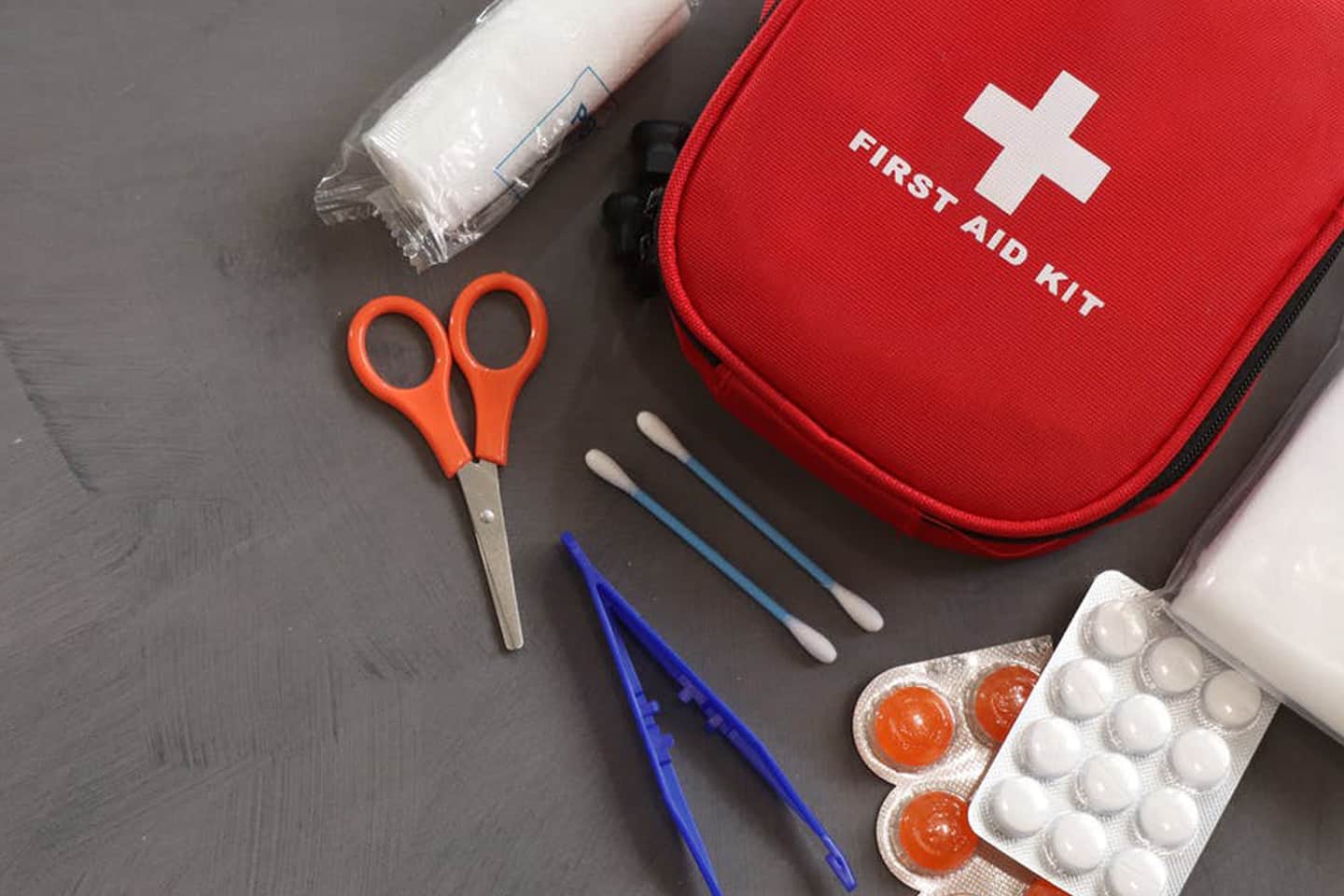 How to Make a Dog First Aid Kit Chew Test